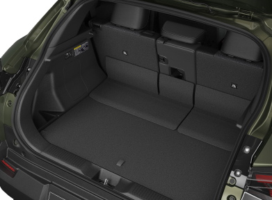 LuggageSpace_1770225087307