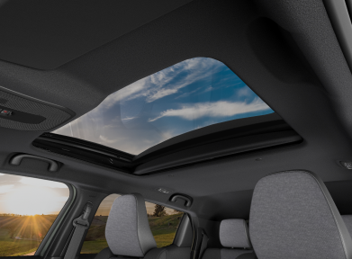PanoramicGlassRoof_1770225113535
